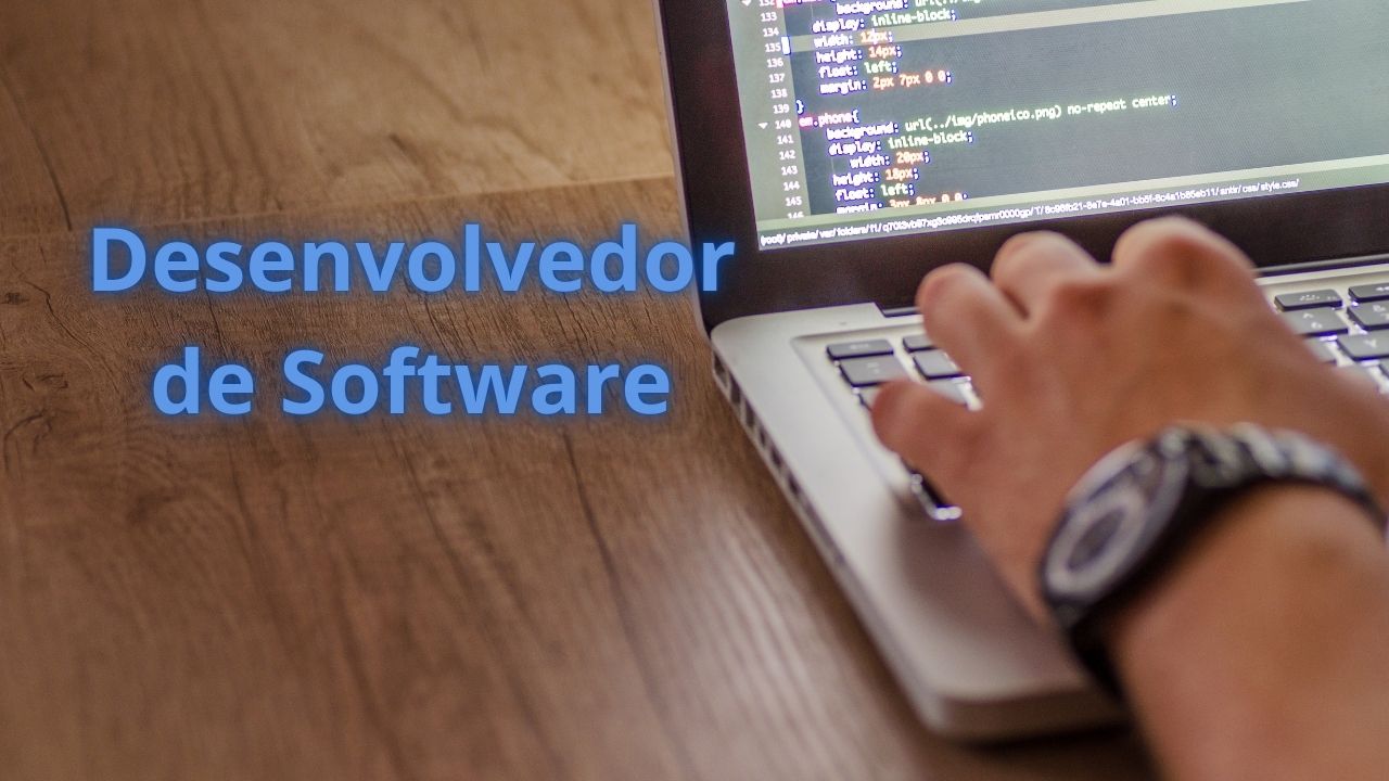 Desenvolvedor de Software